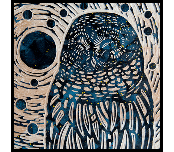 "Barred Owl" by Sara Gettys